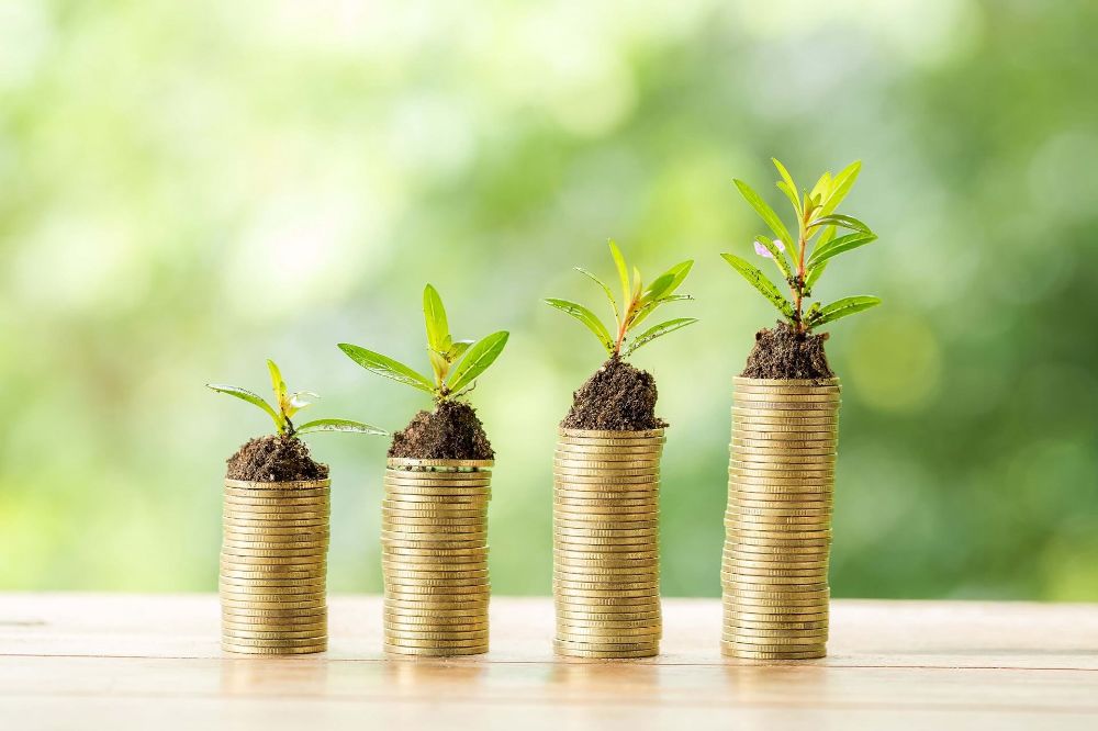 Stacks of coins with a young green plant growing from each